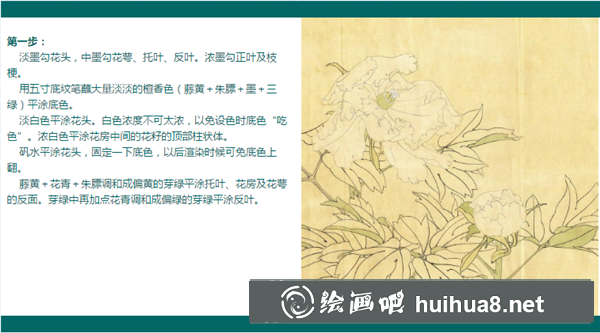 牡丹花工筆畫