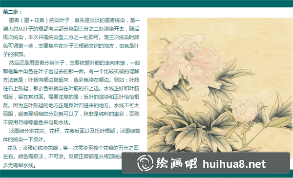 牡丹花工筆畫
