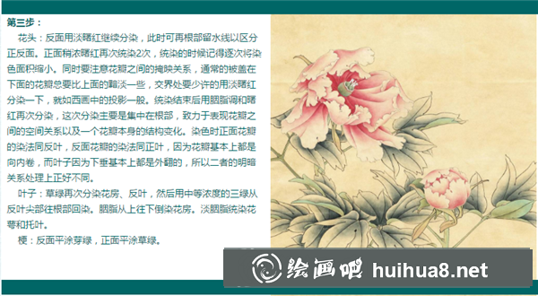 牡丹花工筆畫