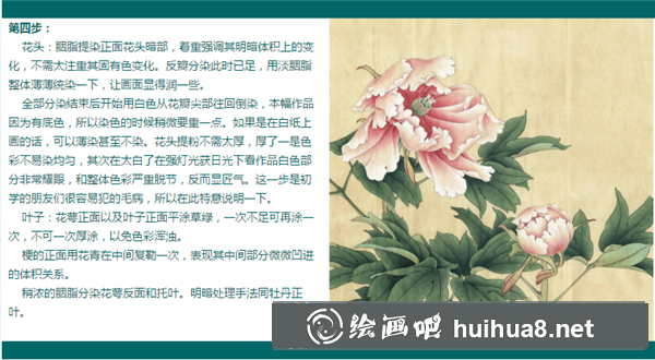 牡丹花工筆畫