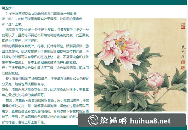 牡丹花工筆畫