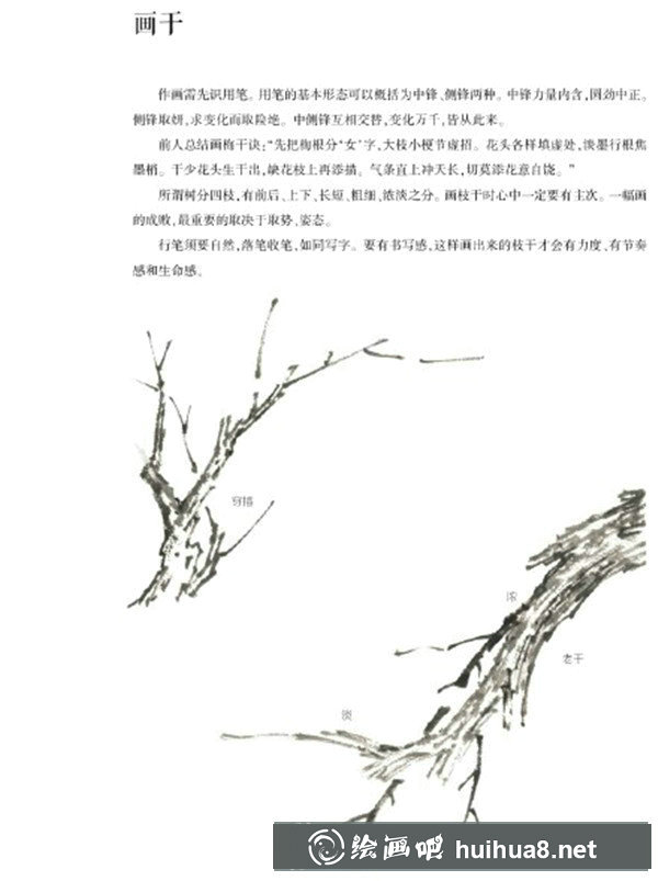 國畫梅花枝干的畫法