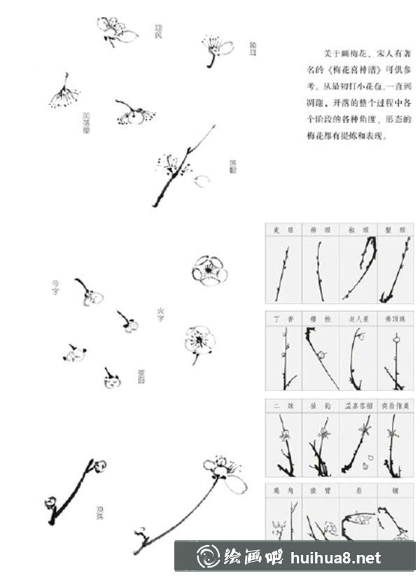 國畫梅花枝干的畫法