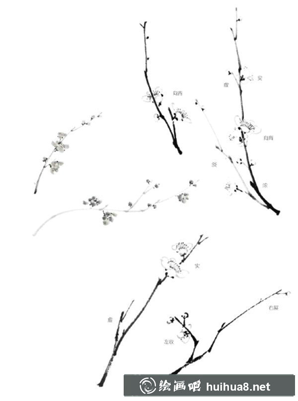 國畫梅花枝干的畫法