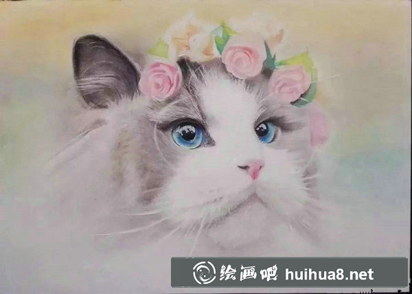 彩鉛畫萌貓步驟：背景和花朵