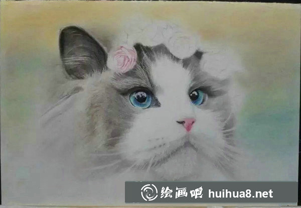 彩鉛畫萌貓步驟：細(xì)節(jié)處理