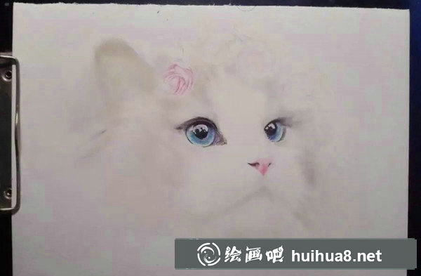 彩鉛畫萌貓步驟：上色