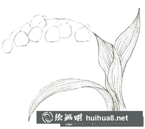 水粉鈴蘭花線條