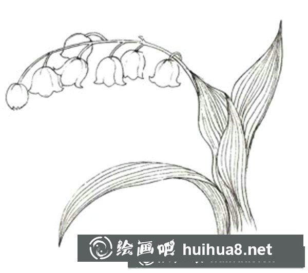 水粉鈴蘭花葉子紋路