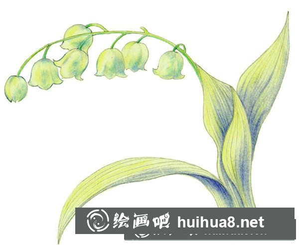 好看的鈴蘭水粉畫怎么畫