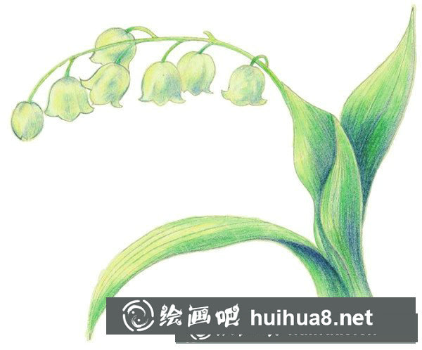 好看的鈴蘭水粉畫怎么畫