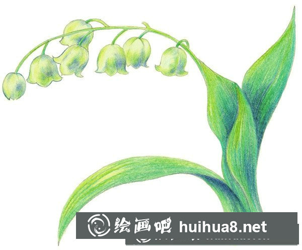 好看的鈴蘭水粉畫怎么畫