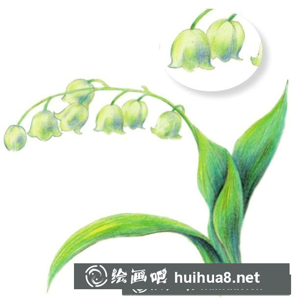 好看的鈴蘭水粉畫怎么畫