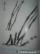 國(guó)畫(huà)竹子入門(mén)教程分享