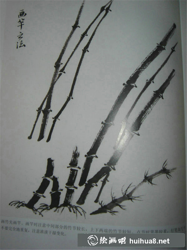 國(guó)畫入門和梅花