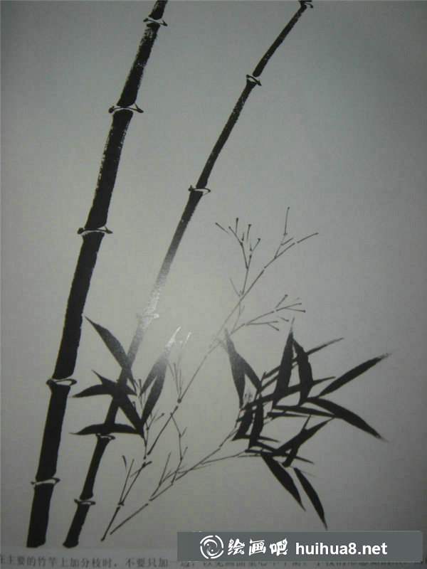國(guó)畫入門和梅花
