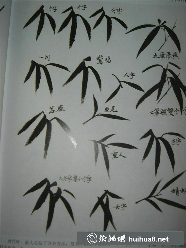 國(guó)畫入門和梅花