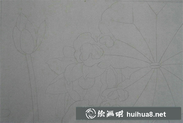 簡(jiǎn)單工筆畫(huà)荷花