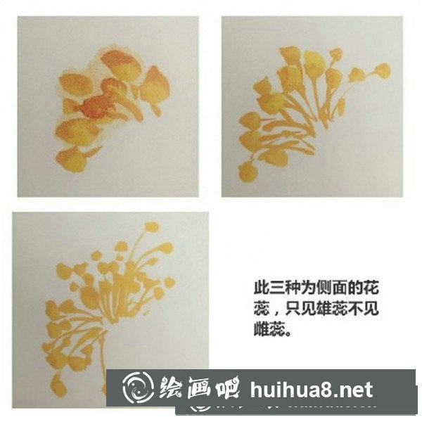 寫意國(guó)畫牡丹花頭畫法