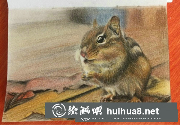 可愛(ài)龍貓彩鉛手繪教程