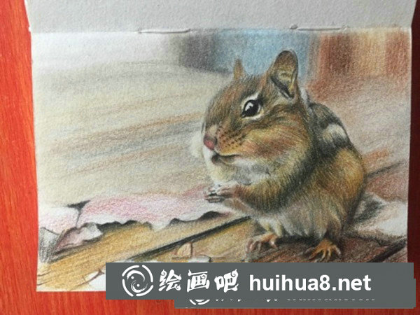 可愛(ài)龍貓彩鉛手繪教程