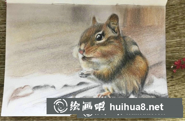 可愛(ài)龍貓彩鉛手繪教程