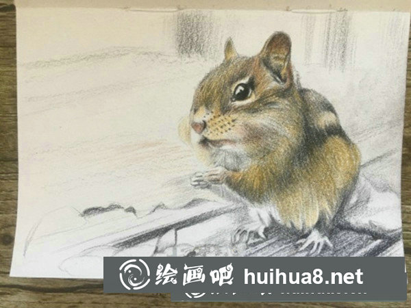 可愛(ài)龍貓彩鉛手繪教程