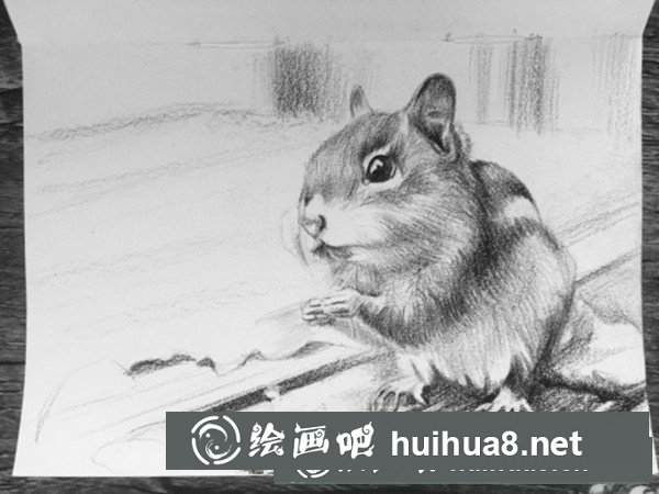可愛(ài)龍貓彩鉛手繪教程