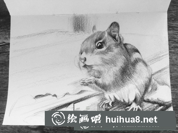可愛(ài)龍貓彩鉛手繪教程