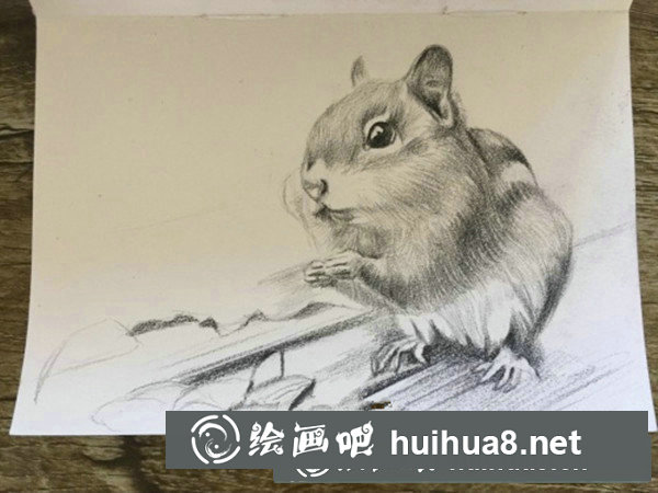 可愛(ài)龍貓彩鉛手繪教程