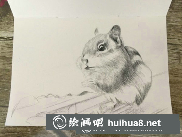 可愛(ài)龍貓彩鉛手繪教程