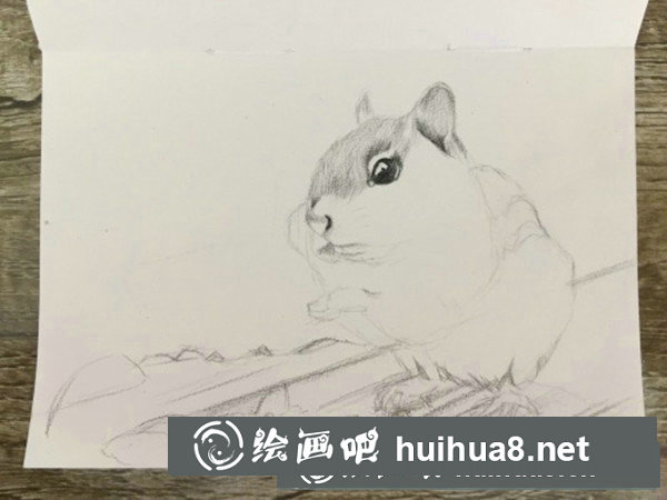 可愛(ài)龍貓彩鉛手繪教程