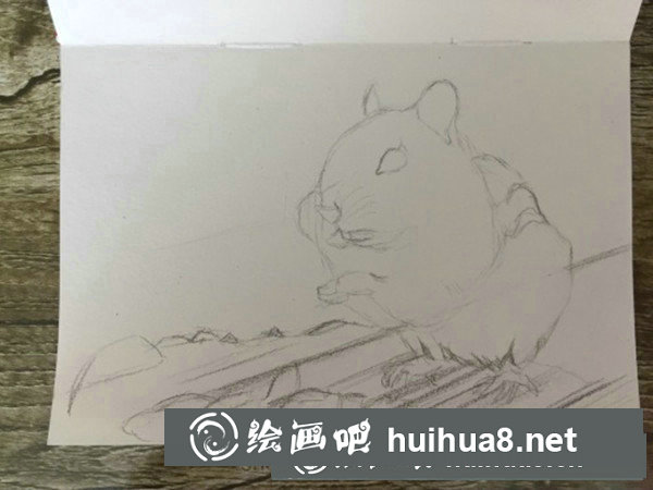 可愛(ài)龍貓彩鉛手繪教程