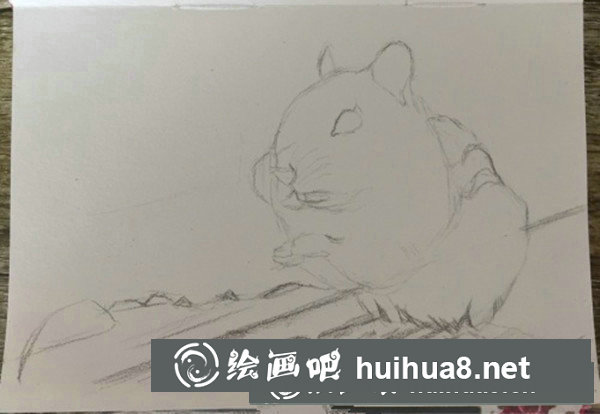 可愛(ài)龍貓彩鉛手繪教程
