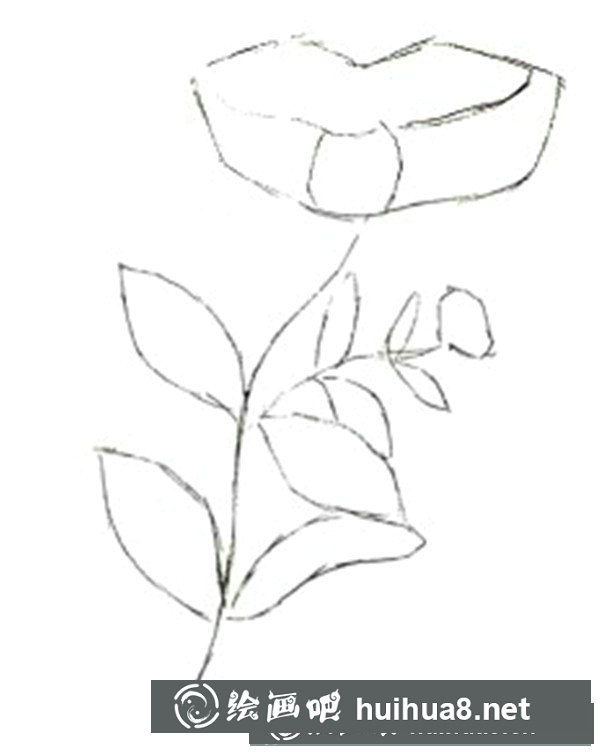 金銀花怎么畫？水粉畫花卉教程圖解