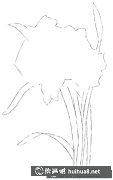 水粉植物畫入門：水仙花畫法攻略