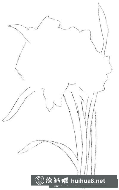 水粉植物畫入門技法：水粉水仙花技法