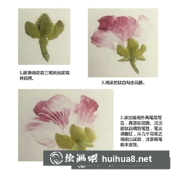 木芙蓉