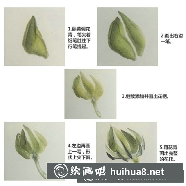 木芙蓉