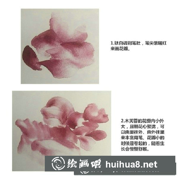 木芙蓉