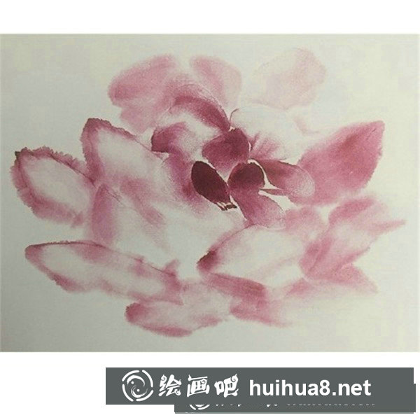 木芙蓉