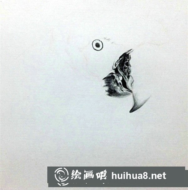 五彩鸚鵡超寫實彩鉛畫怎么畫