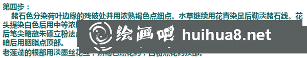 蓮花工筆畫