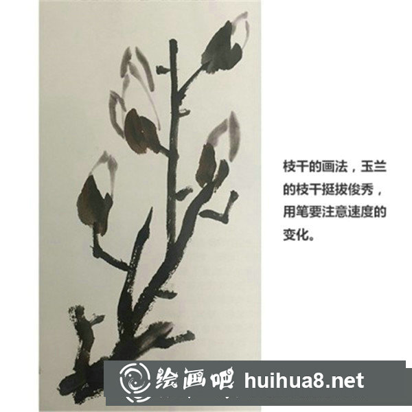 國畫玉蘭花