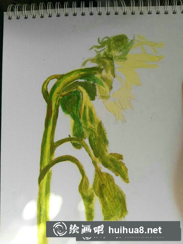 用丙烯畫(huà)向日葵的教程