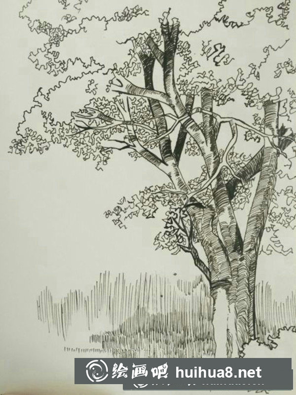 簡(jiǎn)單的鋼筆畫(huà)樹(shù)的畫(huà)法是什么