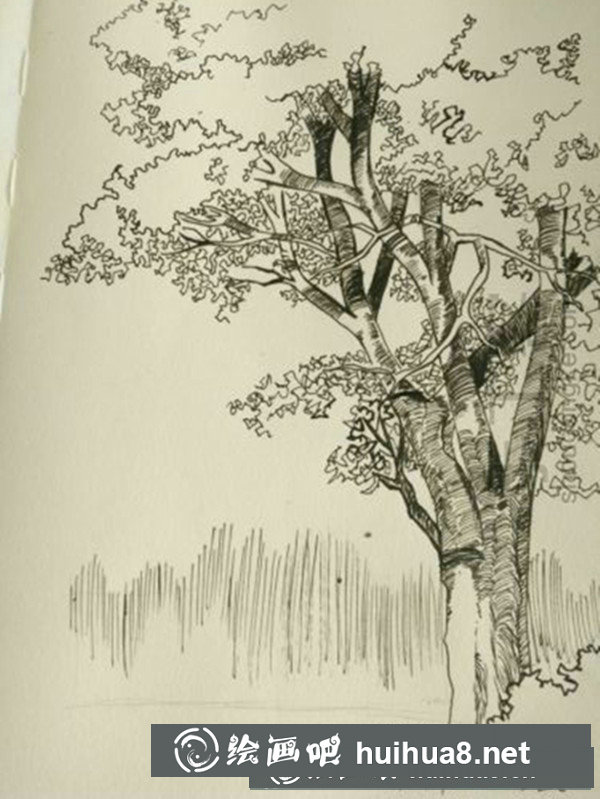 簡(jiǎn)單的鋼筆畫(huà)樹(shù)的畫(huà)法是什么