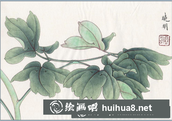 工筆畫葉子上色步驟