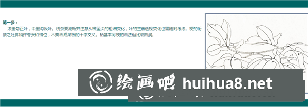 工筆畫葉子上色步驟