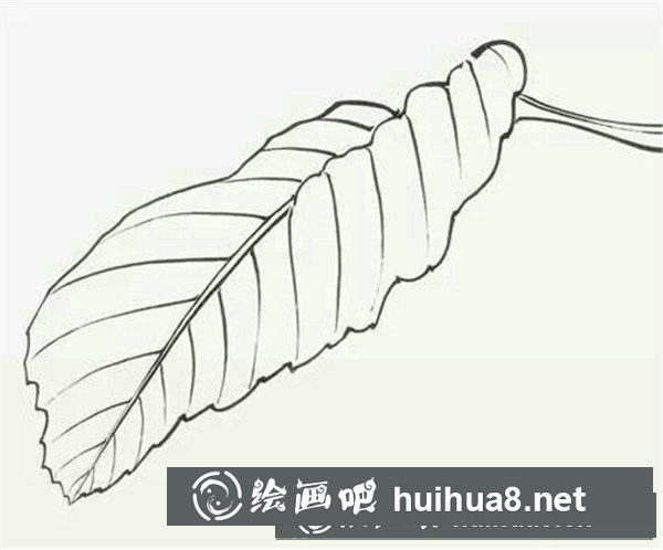 國(guó)畫寫意葉子的畫法